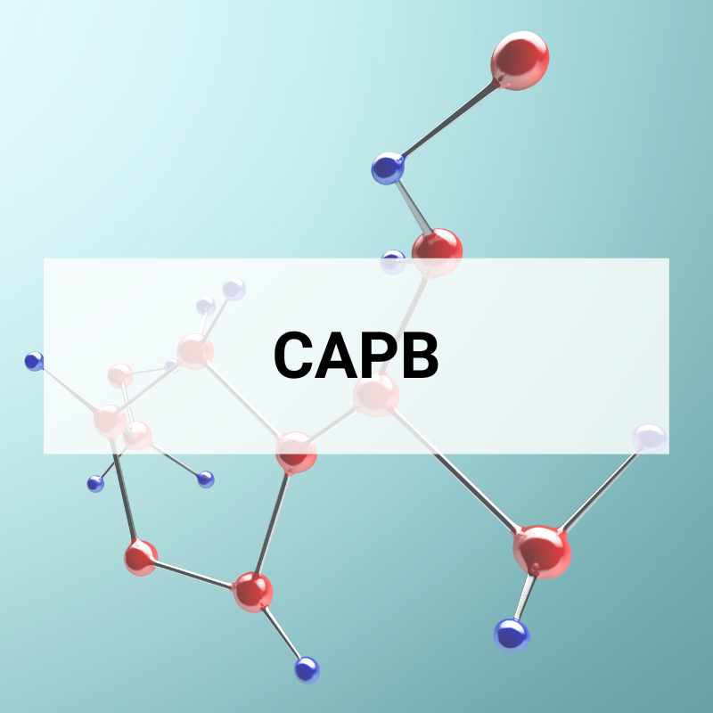 Capb End User CAPB – SUNTRA INTERNATIONAL TRADING CORP